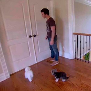 Married to Jonas Sneak Peak: Kevin Feels the Pressure