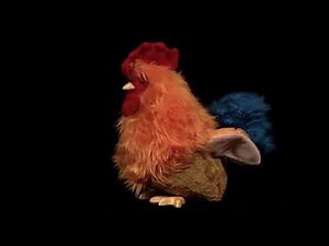 Baby Einstein SFX: Chicken Cackling