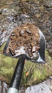 20K views · 315 reactions | #goldprospecting #goldprospector #goldsluicing #fy #goldtime #emas #goldpanning #goldtok #mining #treasurehunt | Underwater Exploration | Facebook