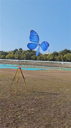 rc flying butterfly #experimnent #diy #rc #shorts