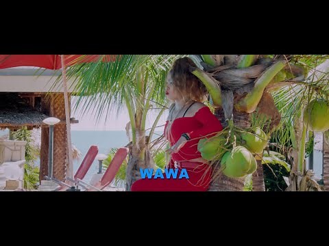 Wawa Salegy - Zah fa tafiditry - clip officiel