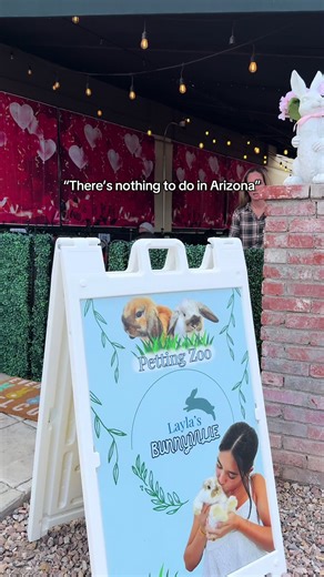 Experience Bunnyville Cafe in Tempe, Arizona