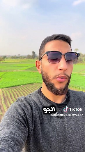 تعلم البرمجة مجانا مع منصة سطر