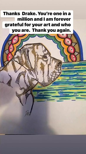 Drake Raven Feather | Joe Thompson