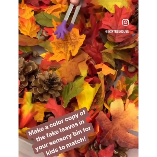  Fall Leaves Sensory Bin & Matching Game  Looking for a hands-on...