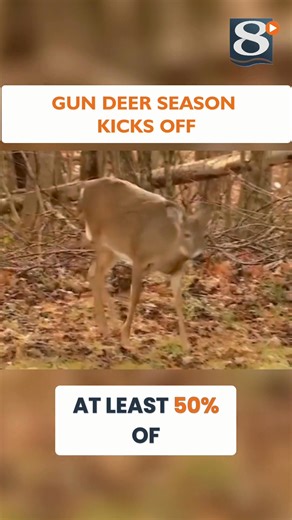 Deer Hunting Season 2025: What You NEED To Know! | News 8 Now / News 8000