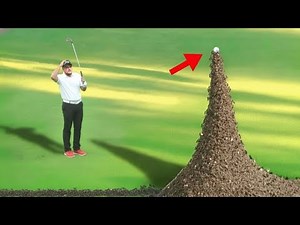 Golf's Craziest Moments Caught on Camera!