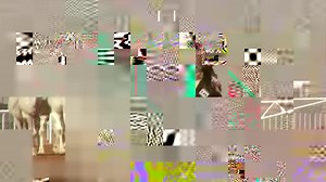 47K views · 297 reactions | ► VIDEO: An annual camel beauty contest in Saudi Arabia, which boasts a €25.6m in prize money, has been rocked by a botox scandal Full story: https://www.irishtimes.com/news/offbeat/camels-banned-from-beauty-contest-after-receiving-botox-injections-1.3368184 | The Irish Times | Facebook