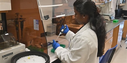 Tech Tuesday: A Helpful Virus