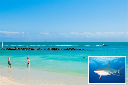 Shark bites 8-year-old boy spearfishing in Florida: ‘Significant blood loss’