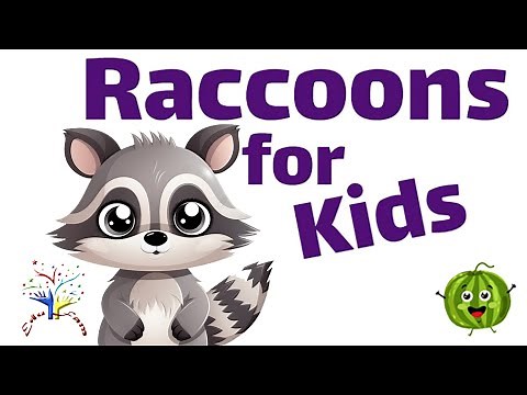 Raccoon Song | Fun Animal Song for Kids | Learn About Raccoons | EduFam Nursery Rhymes