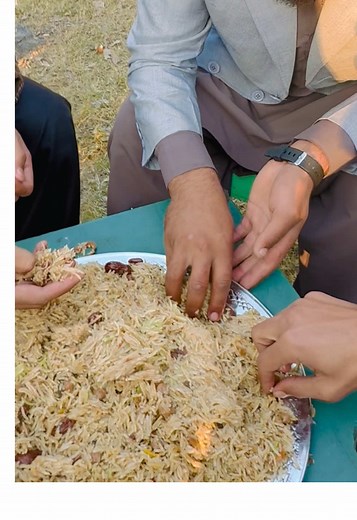 Moggy Meaning: Discovering the Fun Side of Cats