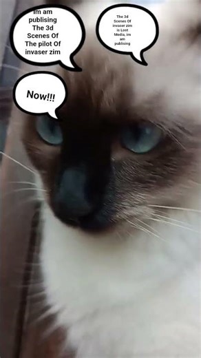 Minha Gata falando sobre o episódio piloto de invasor zim#invaser zim