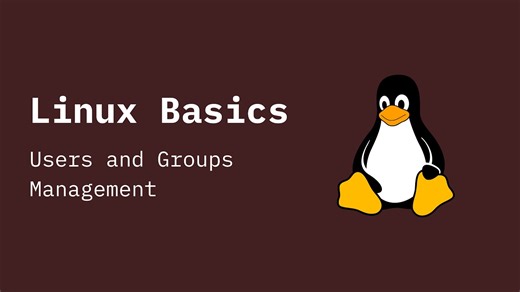 Linux Basics : #8 Users and Groups Management