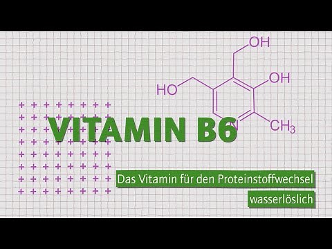 Vitamin B6 – Das Vitamin für den Proteinstoffwechsel | Wofür, wieviel und woher?