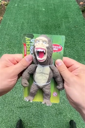 A gorilla took over my house