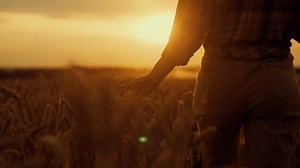 Female Farm Worker Tourist Walking Rye Stock Footage Video (100% Royalty-free) 3891809177 | Shutterstock