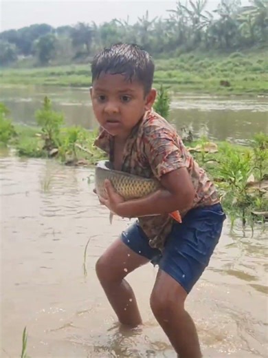 Amazing Traditional Boy Fish Catching By Hand