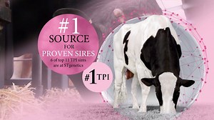 12K views · 116 reactions | Chromosomal Mating® by STgenetics The...