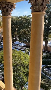 So woke up to a snowfall in Charleston, South Carolina. …With ice falling off the trees and no cars on the road. #charleston #snow #ice 🥶 | Patricia Altschul