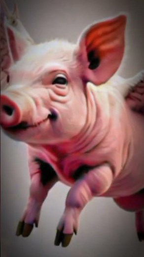 Unbelievable! A Boy Takes Flight on a Flying Pig