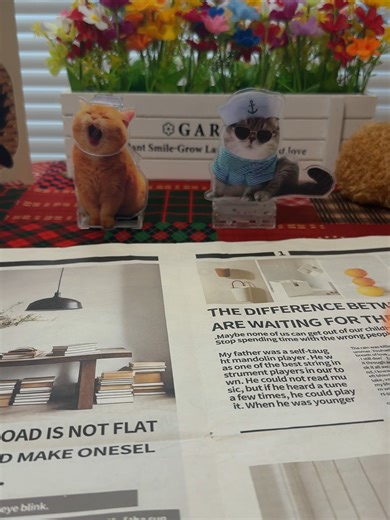 Twist to set Magnetic back #TikTokMadeMeBuyIt #KitchenTimer #MagneticTimer #UsefulThings #Gadgets #KitchenFinds