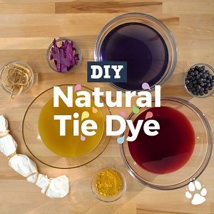 Tie dye is all the rage these days, but have you made you own dyes? Watch the video to learn how to create natural colors from things in your home! The only question left is: Which colors will you choose? 🌈 | Great Wolf Lodge