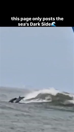 Sea of Spectres – Dark Ocean Mysteries on Instagram: "🌊 the ocean at its most formidable and terrifying. The footage captures immense, dark waves towering over ships and relentlessly crashing over the decks of maritime vessels, illustrating the brutal reality of navigating a major storm. The sheer size and power of the swells are humbling, creating a sense of isolation and danger as the ship plunges and rises against the churning, grey water. It’s a powerful visual document of the raw force of 