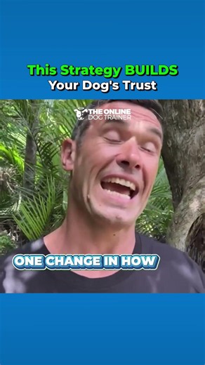 This Dog Training Strategy BUILDS Your Dog's Trust!