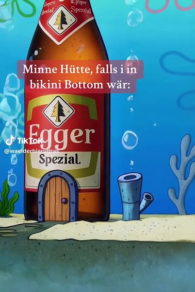 waelderbierultras on TikTok