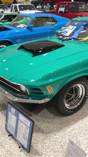 Boss Mustangs