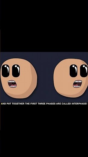MITOSIS SONG #song #funny#biology #easy #mnemonic #mitosis #education #animation #science #comedy