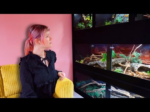 My Dream Animal Room Is Finally Happening...
