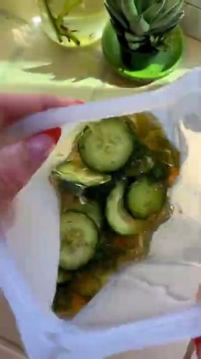Stasher Cooks Quick Pickles