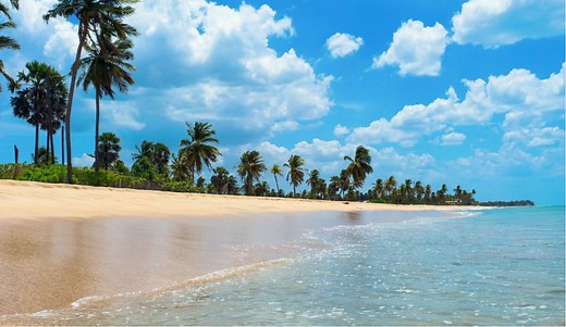 35 Inspirational Quotes On Talent