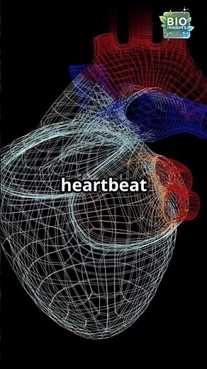 How Your Heart Controls Its Beat! 🫀 | Regulation of Cardiac Activity