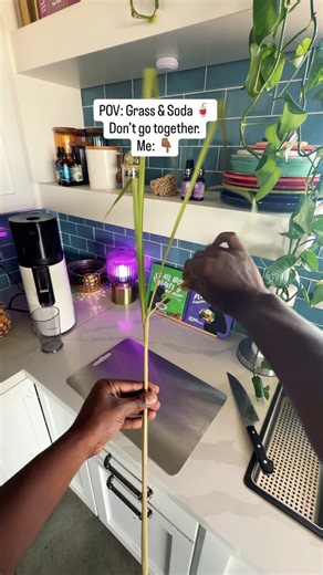 Lemongrass Pineapple Soursop Tea is definitely one of the best tea combos I have ever made. What makes it special is the tea comes from the place where I take my guest on my retreats. Peace and blessings to all! | Turnip Vegan