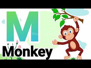 Learn Alphabets with live examples | Animated video with video clips | A for Apple |