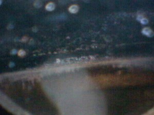 BG Fuel system cleaning - CarScope Repair & Diagnosis