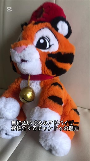 東京ディズニーシーのチャンドゥ紹介