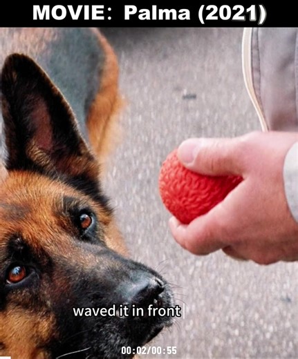 Palma(2021)#film #movie #cine #peliculas #storytime
