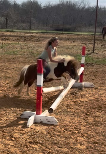 Mini Pony Jumping Fun with Jellybean