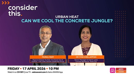 Consider This: Urban Heat (Part 1) — Can We Cool the Concrete Jungle?
