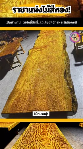 ZOOD JAD - สุดจัด on Instagram: "👑🌳 เปิดตำนาน! “ไม้หนานมู่” ราชาแห่งไม้สีทองของจักรพรรดิ!😲 #ไม้หนานมู่ #ตำนานไม้ศักดิ์สิทธิ์ #ไม้สีทอง #ไม้หายาก #ไม้ล้ำค่า #ราชาแห่งไม้ #ของหายาก #ศิลปะราชสำนัก #ธรรมชาติน่าทึ่ง #ความรู้ #สาระน่ารู้ #สาระ #อึ้ง #แพงที่สุดในโลก #ไม้โบราณ"