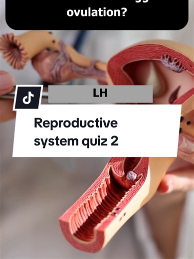 Reproductive System Quiz! Do you know where ovum travels or what LH hormone does? Test your biology knowledge with key terms like testes and fallopian tube. Comment your score and challenge your friends! 👇#biologyquiz #reproduction #hormone #quizchallenge #nursingstudent