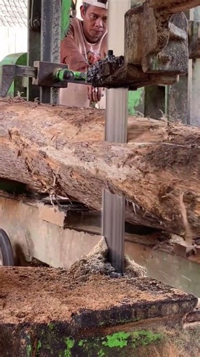 Giant Tree vs Machine – See What Happens #wood #sawmill #shorts #woodworking #oddlysatisfying