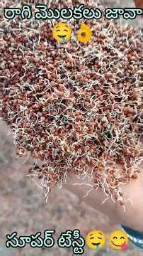 👌😍Try Ragi Java like this#ragi Java try##how #food #cooking #recipe #healthy