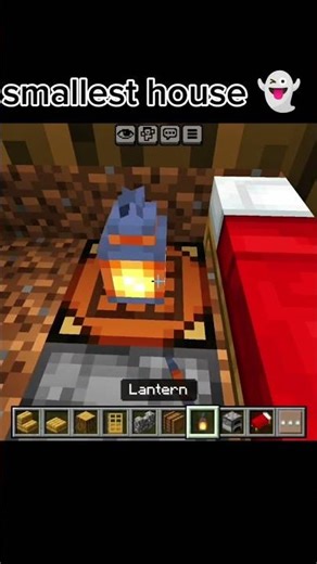 Minecraft smallest house #minecraft #shots #minecraftbuild #viral #popular
