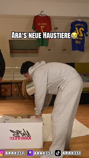 Ara‘s neue Haustiere😭 @ÁRÃ #fyp #arax351 #haustier