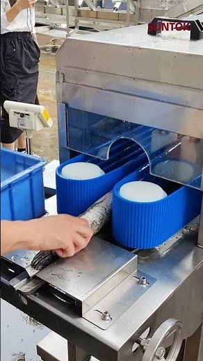 Fish fillet machine for snakehead